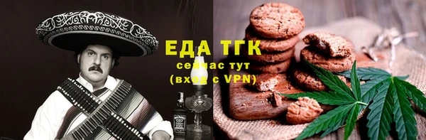 индика Бугульма